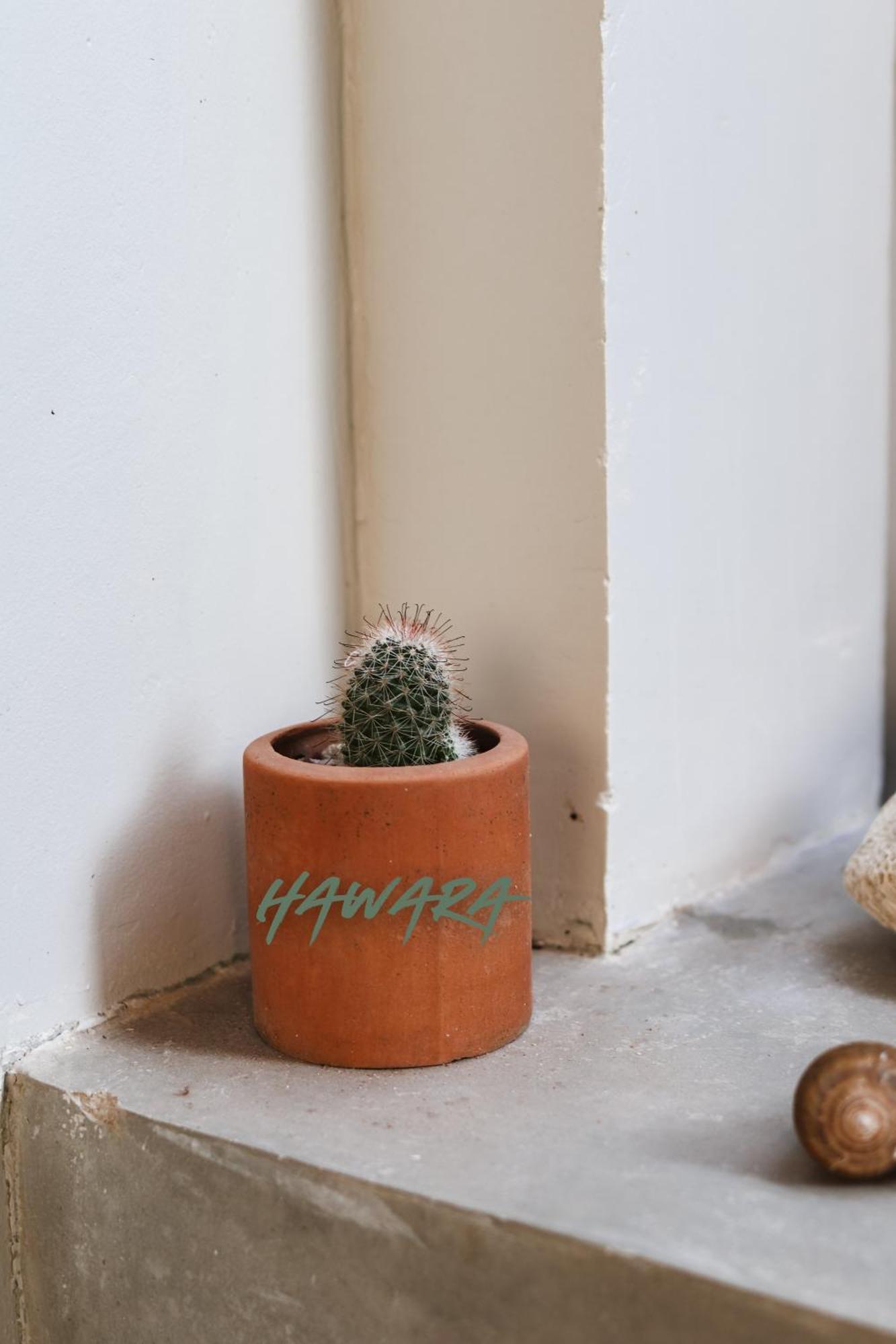 מלון Hawara Coliving מידיגמה איסט מראה חיצוני תמונה